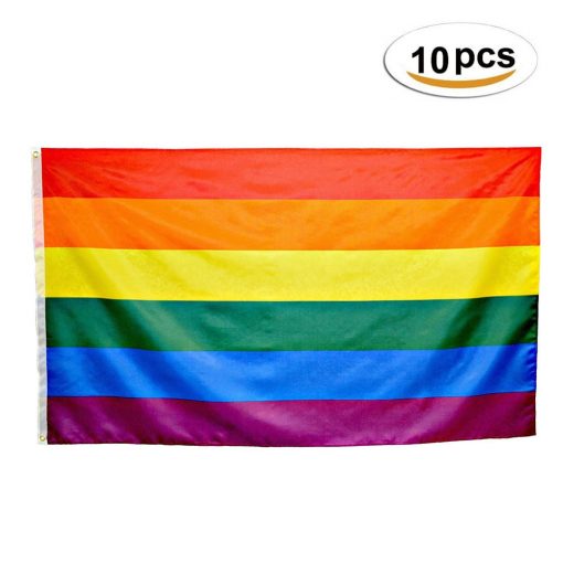 10 Pieces Gay Pride Flag (3x5) PN0112 Default Title Official PAN FLAG Merch