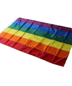 10 Pieces Rainbow Flag Polyester Gay Pride Flag with Brass Grommets Banner Hanging LGBT Flag For 9a23369e c306 4fe6 abf6 62fc4f85b96a - Demisexual Flag