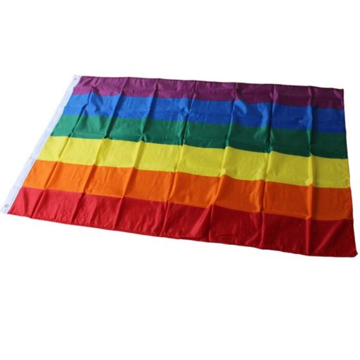 10 Pieces Rainbow Flag Polyester Gay Pride Flag with Brass Grommets Banner Hanging LGBT Flag For ac93ba0d fc56 45be 9ac0 80701efa60be - Demisexual Flag