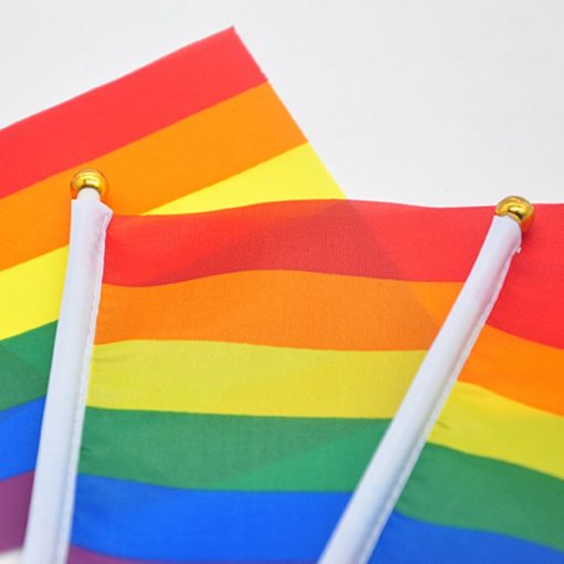 50 pcs Geminbowl Rainbow flag Hand Waving Gay Pride LGBT parade Les Bunting 14x21cm Geminbowl Brand 8546145a a46c 4caa 9f8f 8ac6066012b3 - Demisexual Flag