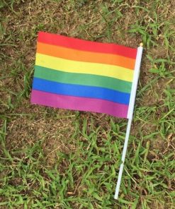 50 pcs Geminbowl Rainbow flag Hand Waving Gay Pride LGBT parade Les Bunting 14x21cm Geminbowl Brand 8780550e 095f 45be 8f62 b0eb52765d27 - Demisexual Flag