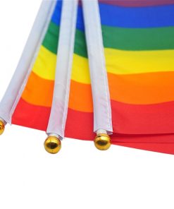 50 pcs Geminbowl Rainbow flag Hand Waving Gay Pride LGBT parade Les Bunting 14x21cm Geminbowl Brand e581b651 cb7d 4a20 8a61 1cb158c2cff1 - Demisexual Flag