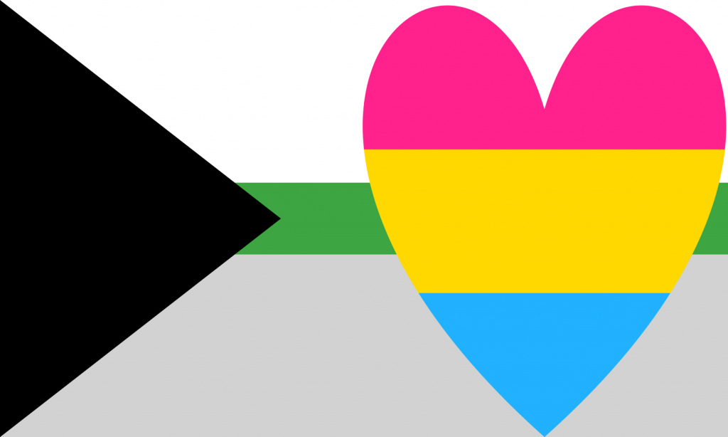 Pansexual Demiromantic Pride Flag Pn0112 Demisexual Flag