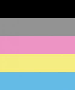 Polygender Pride flag PN0112 2x3 ft (60x90cm) Official PAN FLAG Merch