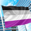 Asexual Pride Flag PN0112 2x3 ft (60 x 90 cm) / 2 grommets left side Official PAN FLAG Merch