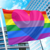 Biromantic Homosexual Flag PN0112 2x3ft (60x90cm) / 2 Grommets left Official PAN FLAG Merch