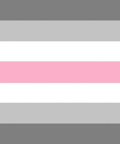 Demifem Pride Flag PN0112 2x3 ft (60x90cm) / 2 Grommets Left Official PAN FLAG Merch