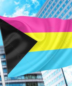 Demisexual Panromantic Pride Flag PN0112 2x3 ft (60x90 cm) Official PAN FLAG Merch