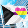 Demisexual Panromantic Pride Flag - Heart PN0112 3x5 ft (90x150 cm) / 2 Grommets left Official PAN FLAG Merch