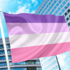 Femme Lesbian Pride Flag PN0112 2x3 ft (60x90cm) / 2 Grommets Left Official PAN FLAG Merch