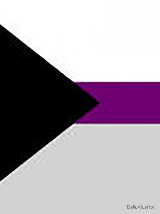 artwork Offical demisexual flag Merch