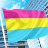 Pansexual LGBT Pride Flag PN0112 2x3 ft (60x90cm) Plain / 2 grommets left side Official PAN FLAG Merch