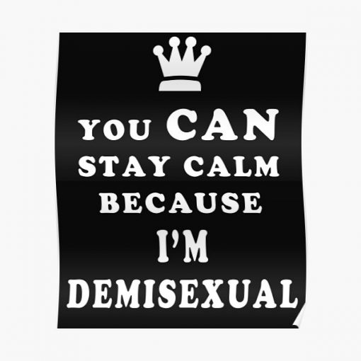 Demisexual You Can Stay Calm Because I am Demisexual Poster RB0403 product Offical demisexual flag Merch