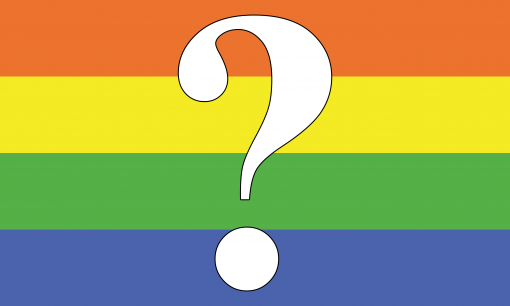 Questioning Pride Flag PN0112 2x3 ft (60x90 cm) / 2 Grommets left Official PAN FLAG Merch