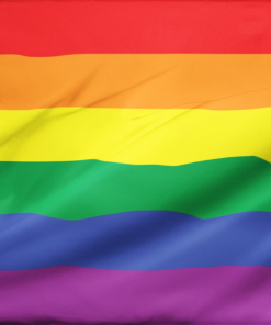 rainbowflag 0ee69b78 6fb7 425b 9e01 5a6368323f7e - Demisexual Flag
