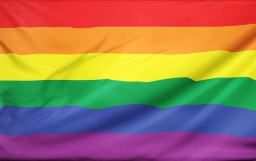 rainbowflag 0ee69b78 6fb7 425b 9e01 5a6368323f7e - Demisexual Flag