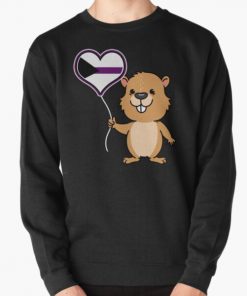 Beaver Heart Balloon Demisexual Pride Pullover Sweatshirt RB0403 product Offical demisexual flag Merch