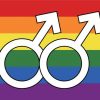 Pride Homosexual Rainbow Flag-Large1 PN0112 3x5 ft (90x150 cm) / 2 Grommets left Official PAN FLAG Merch
