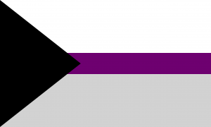 1 - Demisexual Flag