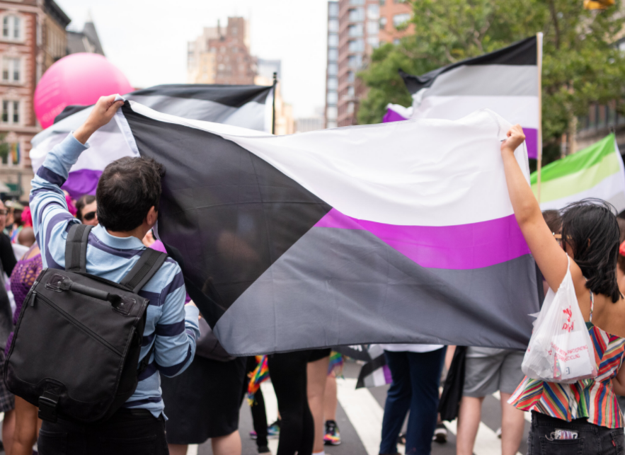 Screenshot 22 - Demisexual Flag